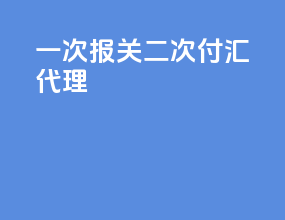 一次报关二次付汇 代理