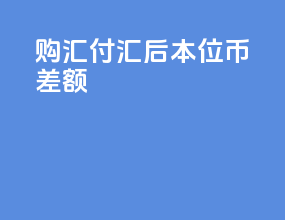 购汇付汇后本位币差额