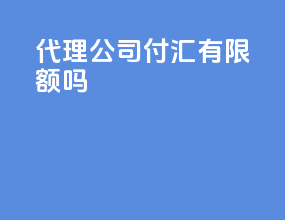 代理公司付汇有限额吗