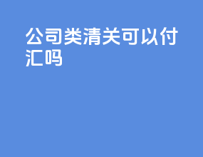 DHL公司C类清关可以付汇吗