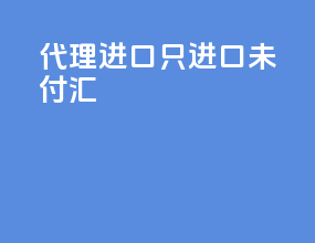 代理进口只进口未付汇