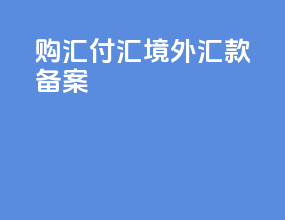 购汇付汇境外汇款备案