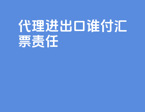 代理进出口谁付汇票责任