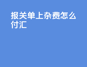 报关单上杂费怎么付汇
