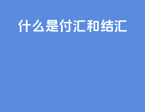 什么是付汇和结汇