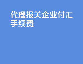 代理报关企业付汇手续费