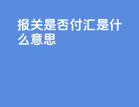 报关是否付汇是什么意思