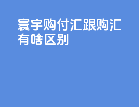 寰宇购付汇跟购汇有啥区别