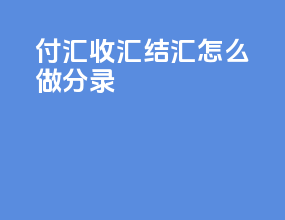 付汇收汇结汇怎么做分录