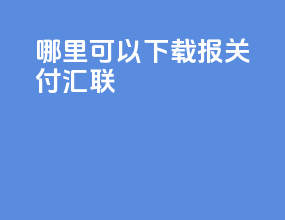 哪里可以下载报关付汇联
