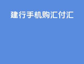建行手机app购汇付汇