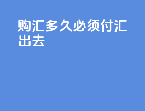 购汇多久必须付汇出去