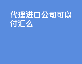 代理进口公司可以付汇么