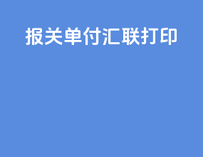 报关单付汇联打印