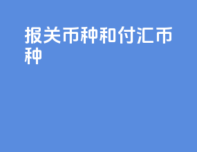 报关币种和付汇币种