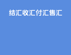 结汇 收汇 付汇 售汇