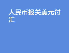 人民币报关 美元付汇