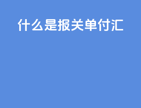 什么是报关单付汇
