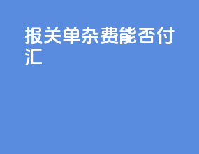 报关单杂费能否付汇