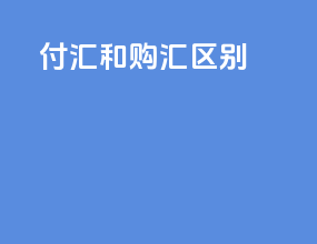付汇和购汇区别