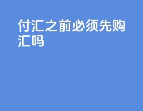付汇之前必须先购汇吗