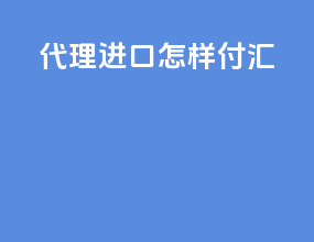 代理进口 怎样付汇