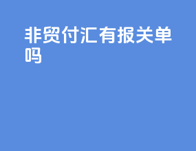 非贸付汇有报关单吗