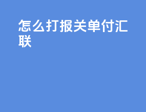 怎么打报关单付汇联