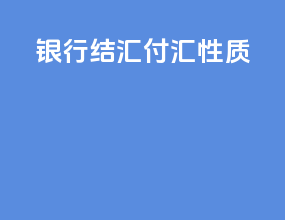 银行结汇付汇性质