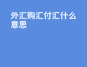 外汇购汇付汇什么意思