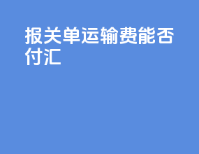报关单运输费能否付汇
