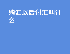 购汇以后付汇叫什么