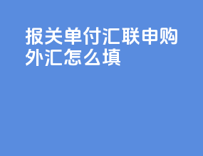 报关单付汇联申购外汇怎么填