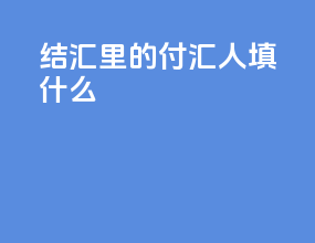 结汇里的付汇人填什么