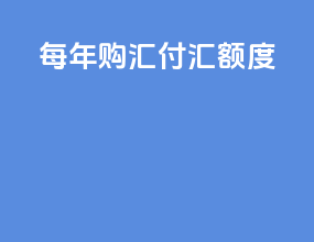 每年购汇付汇额度