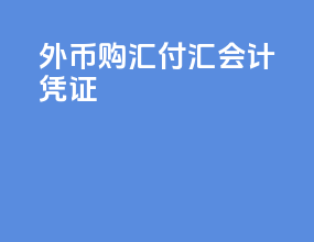 外币购汇付汇会计凭证