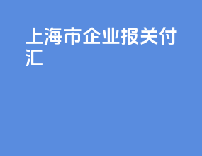 上海市企业报关付汇