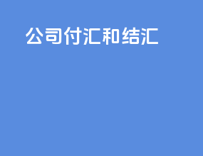 公司付汇和结汇