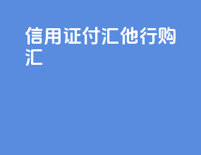 信用证付汇他行购汇