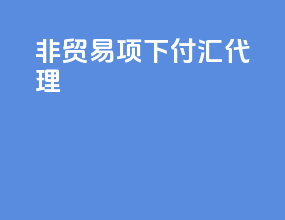 非贸易项下付汇 代理
