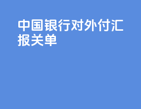 中国银行对外付汇报关单