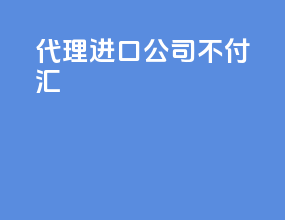代理进口公司不付汇