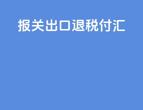 报关出口退税付汇