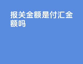 报关金额是付汇金额吗