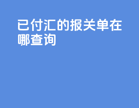 已付汇的报关单在哪查询