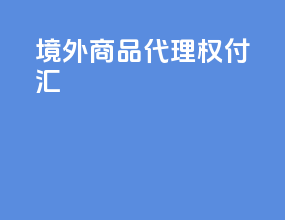 境外商品代理权 付汇