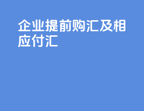 企业提前购汇及相应付汇