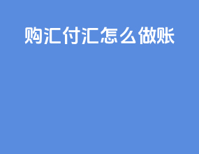 购汇付汇怎么做帐
