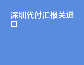 深圳代付汇报关进口
