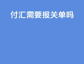 付汇需要报关单吗